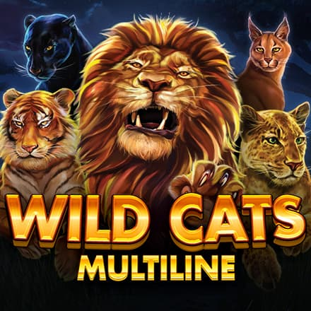 wildcatsmultiline